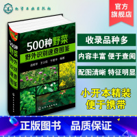 [正版]500种野菜野外识别速查图鉴 野菜识别特征实用方法 中医草药材识别图大全 生活常识中草药有毒植物识别图集 自然