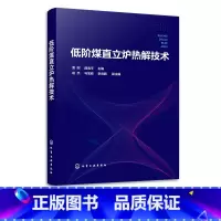 [正版]低阶煤直立炉热解技术 雷刚 低阶煤的主要特性与结构特点 低阶煤的热解原理 低阶煤分级分质利用领域科研人员工程技