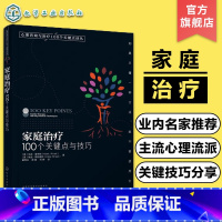 [正版]心理咨询与治疗100个关键点译丛 家庭治疗 100个关键点与技巧 心理问题诊断治疗技术情绪疏导心理咨询 心理咨