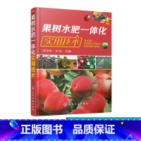 [正版] 果树水肥一体化实用技术 水果灌溉施肥栽培种植书籍 省钱省肥节约水技术书籍设备设计安装调试系统操作维护技术 果