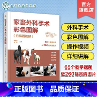 [正版]家畜外科手术彩色图解 扫码看视频 李建基 视频解说家畜外科手术 常见家畜疾病手术诊疗技术 兽医技术人员畜牧兽医