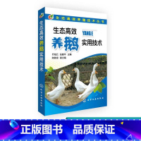 [正版]生态高效养殖技术丛书 生态高效养鹅实用技术 态养鹅实用技术大全鹅的繁育饲养管理 养鹅技术养殖技术大全 鹅病防治