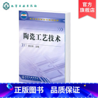 [正版]陶瓷工艺技术 陶瓷生产工艺技术 陶瓷工艺流程介绍 陶瓷装饰知识 陶瓷材料生产加工制备工艺技术 特种陶瓷的生产工