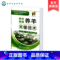 [正版]畜禽高效健康养殖关键技术丛书 高效健康养羊关键技术 羊的繁殖技术 羊的饲养管理技术饲料加工和利用技术 羊场建造