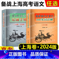 [2册]高考语文 实词详解+记诵手册 上海 [正版]2024修订版 高考语文文言文300实词详解 双色版 中西书局 高