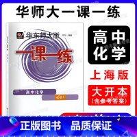 化学 必修第一册 [正版]2023新版华东师大版一课一练 化学必修1 高一上册高1年级第一学期化学 华师大版一课一练 上