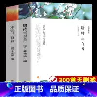 [正版]唐诗三百首 宋词三百首 全集完整版无删减300首 带注释译文赏析附插图 中国传统文化国学启蒙诗词鉴赏辞典课外阅