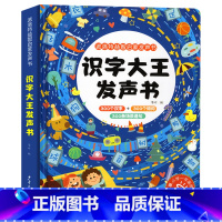 识字大王发声书 [正版]幼儿识字1200字幼儿园宝宝学前儿童识字书幼儿认字识字大王幼小衔接一日一练益智早教启蒙书卡片2-