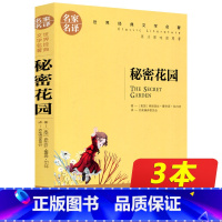 [正版]同系列3本16.8秘密花园 书 名家名译 世界文学名著 秘密花园 青少年10-18岁名著书籍 五年级以上课外