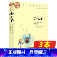 [正版]同系列3本16.8小王子 原著 世界经典文学名著 名家名译 青少年10-18岁名著书籍 五年级以上课外名著