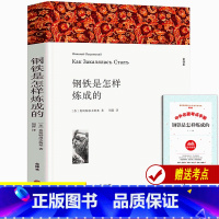 [正版]赠考点钢铁是怎样炼成的 初中原著 八年级下册阅读书初中生无删减中文版原文原著课外书小说文学世界名著钢铁是怎样炼