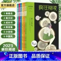 2023版年度特辑 2023年度特辑全套 [正版]天星教育2023疯狂阅读年度特辑全套青春志美文纪成长书青春文学小说青春