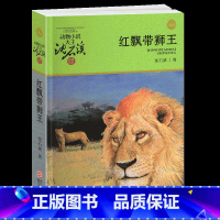 红飘带狮王 [正版]完整版红飘带狮王全本沈石溪的图书籍动物小说大王品藏系列小学生四五六年级儿童文学作品珍藏大全全集全套单