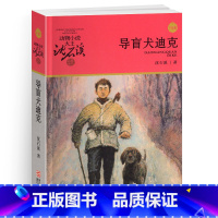 导盲犬迪克 [正版]导盲犬迪克沈石溪小学四年级五年级全集全套书浙江少年儿童出版社非注音版完整版动物小说大王品藏书系生课外