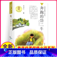 [正版]奔跑的岱二牛黄蓓佳著倾情小说系列儿童文学的图书籍三四五六年级课外阅读故事全套单本一中国童话童眸飞了我要做个好孩