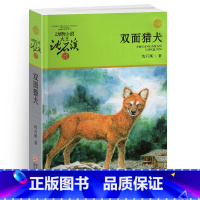 双面猎犬 [正版]双面猎犬沈石溪小学四年级五年级全集全套书浙江少年儿童出版社非注音版完整版动物小说大王品藏书系小学生课外