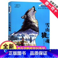 [正版]完整版雪山狼魂全本沈石溪的书籍动物小说大王系列小学生四五六年级儿童文学作品珍藏大全全集单本一品藏阅读故事精品