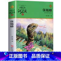 保姆蟒 [正版]保姆蟒 动物小说大王沈石溪获奖作品6--12-15岁儿童三四五六年级小学生课外阅读书籍 青少年课外读物