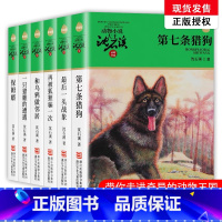 [正版]全6册沈石溪动物小说全集 沈石溪的书精品集完整版单本第七条猎犬保姆蟒不含狼王梦浙江少年儿童出版社