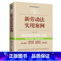 [正版]新劳动法实用案例现代公民法律实用丛书增强法律观念提高维权意识劳动纠纷法律法规法条文及司法解释理解与适用单行本法