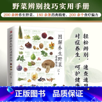 [正版]图解养生野菜速查全书 野菜别名分布形态特征食用方法药用功效 认识采摘野菜指南 野菜植物知识科普百科大全书籍读物