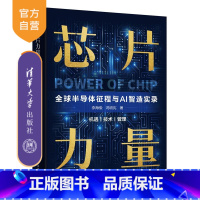 [正版]新书芯片力量:全球半导体征程与AI智造实录 李海俊 冯明宪 芯片-电子工业-产业发展-世界