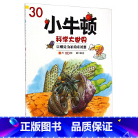 以螺壳为家的寄居蟹 [正版]以螺壳为家的寄居蟹 小牛顿科学大世界爱探索科普绘科学馆6-12-15岁少儿青少年版儿童科普百