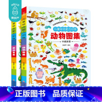 [正版] 儿童综合能力训练《动物图集》+《颜色图集》2册 中英文双语