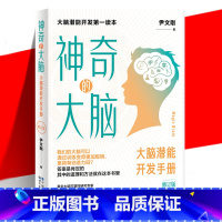 [正版] 神奇的大脑(修订版)大脑知识读物 大脑潜能训练手册 儿童孩子大脑训练发展科学讲述大脑的科学理论和训练方法 世