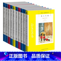 [正版] 阿婆1-10册 套装10本 阿加莎克里斯蒂小说全集系列 无人生还东方快车谋杀案罗杰疑案斯泰尔斯庄园侦探推