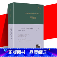 [正版]YS 佩特森 巴别塔诗典系列 美国诗人威廉·卡洛斯·威廉斯长篇诗 译者长篇导读 人民文学出版社