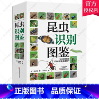 [正版] 昆虫识别图鉴 1004种昆虫1600多张高清照片自然百科知识读物全书科普书韩永植动物昆虫图鉴识别辨认入门昆虫