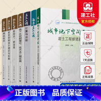 [正版]岩土工程西湖论坛系列丛书7册 岩土工程计算与分析 地基处理新技术 岩土工程变形控制设计理论与实践 地下水控制