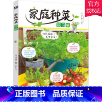 [正版] 家庭种菜超简单 岡井路子 蔬菜种植技术大全 大棚种植技术 家庭园艺书籍 种植书籍大全 97871115015