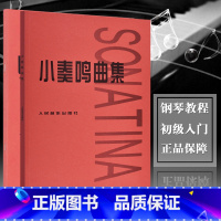 [正版]全新 小奏鸣曲集 巴赫初级钢琴曲集 钢琴基础教程 钢琴书籍初学入门 人民音乐出版社定价53.00元