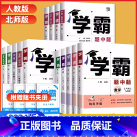 [人教版]数学 九年级下 [正版]2024新版学霸题中题七八九年级上下册数学物理英语化学人教版同步练习册提优课时作业本初