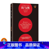 [正版]红与黑 一个自卑的人到底要经历什么才敢面对真实的自己 司汤达 罗新璋译 批判现实主义 个人理想 社会价值 经典