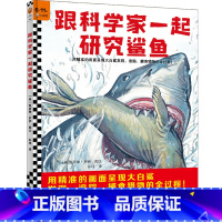 跟科学家一起研究鲨鱼 [正版]跟科学家一起研究鲨鱼 精装 6~11岁 [美]凯瑟琳·罗伊图/文 儿童绘本/科普 自然教育