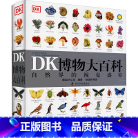 [DK系列]博物大百科 [正版]DK军事历史大百科 儿童武器装备战役战争世界发展史世界军事历史书籍军事科普书博物馆士兵训