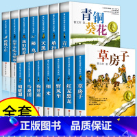 曹文轩全册小说[全14册] [正版]草房子曹文轩原著完整版 青铜葵花三四五六年级阅读课外书 小学生课外阅读书籍儿童文学纯