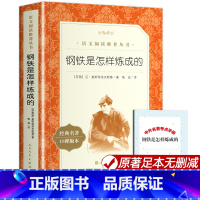 钢铁是怎样炼成的 [正版]钢铁是怎样炼成的初中原著 人民文学出版社完整版无删减 八年级下册阅读名著课外书 初二初中生经