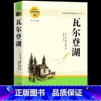 瓦尔登湖 [正版]瓦尔登湖 原著无删减完整版 高中生名著导读 高一二三阅读课外读物 世界经典文学名著 语文配套名著阅读课