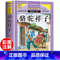 骆驼祥子[彩图加厚] [正版]骆驼祥子 小学生课外阅读书籍三四五六年级经典书目青少年儿童文学世界名著故事书6-8-12岁