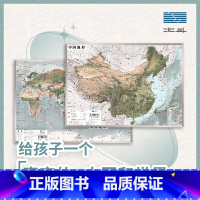 [正版]地图共2张中国地图和世界地图 3d立体凹凸地形图挂图 36*25.5cm遥感卫星影像图三维浮雕地理地势地貌初高