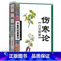 [正版]伤寒论 白话文精解张仲景古代医学经典图文国学典藏版伤寒论讲义校注外感热病治疗规律伤寒杂病论倪海厦中医医学书籍大