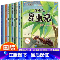 [正版]幼儿园昆虫绘本 全套10册老师3一6读物亲子阅读启蒙故事书适合3到4-5岁宝宝的小班三岁儿童书籍图书法布尔昆虫