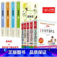 精装森林报+四年级快乐读书吧下册 [正版]全译本精装彩图全4册 森林报全集文若愚春夏秋冬比安基著完整版四五六年级小学生老