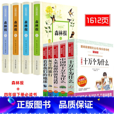 精装森林报+四年级快乐读书吧下册 [正版]全译本精装彩图全4册 森林报全集文若愚春夏秋冬比安基著完整版四五六年级小学生老