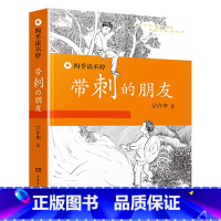 [正版]带刺的朋友课外故事书非注音版三年级宗介华湖南少儿出版社四季读不停小学生课外阅读书籍 儿童文学故事书图书6-8-