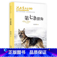 [正版]沈石溪画本 第七条猎狗 新版 沈石溪 6-12周岁小学生课外阅读图书籍寒暑假书目长江少年儿童出版社